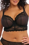 Elomi Full Figure Charley Lace Underwire Longline Bra El4381, Online Only In Black