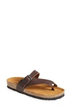 Naot Ladies Tahoe Sandal In Buffalo Leather