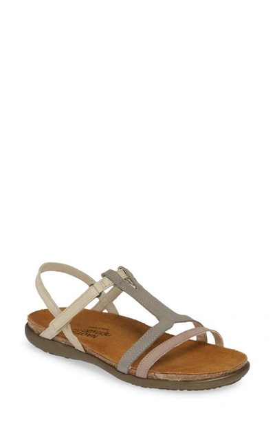 Naot Judith Sandal In Multi