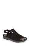Naot Amadora Slingback Sandal In Black Velvet