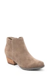 Blondo Valli 2.0 Waterproof Bootie In Dark Taupe