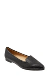 Trotters Harlowe Pointed Toe Loafer In Black Leather/ Black