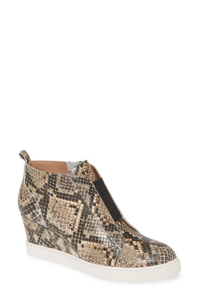 Linea Paolo Felicia3-l Leather Wedge Sneaker In Brown