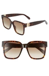 Givenchy 53mm Square Sunglasses In Dkhavana/ Brown Gradient