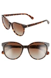 Kate Spade Melanies 52mm Polarized Round Sunglasses In Dkhavana/ Brown Grad Polz