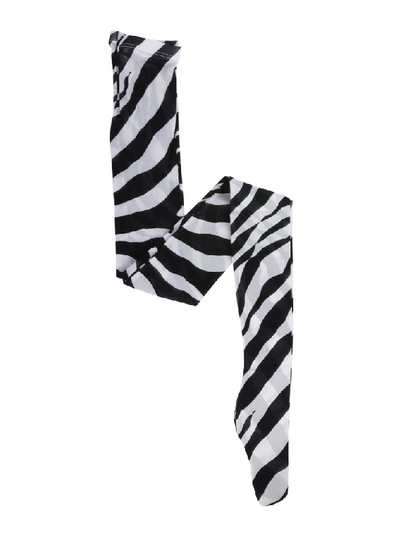 Dolce & Gabbana Zebra Print Tights In Black