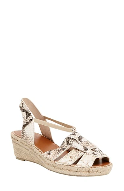 Andre Assous Dorit Wedge Sandal In White Snake Print