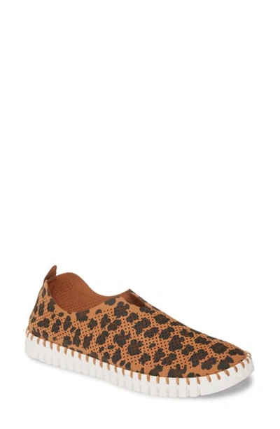 Ilse Jacobsen Tulip 139 Perforated Slip-on Sneaker In Brown Leopard Print Fabric