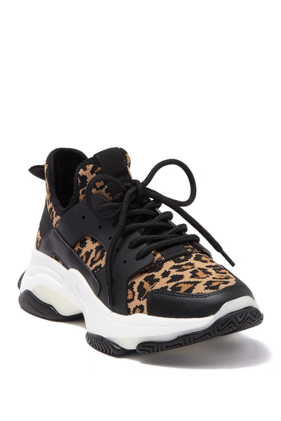 Steve Madden Arelle Exaggerated Sole Sneaker In Leopard