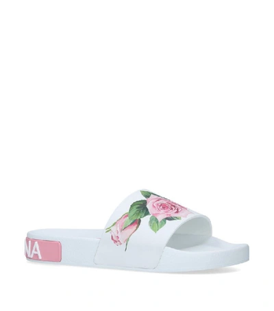 Dolce & Gabbana Rose Printed Pool Slides In White,pink,green