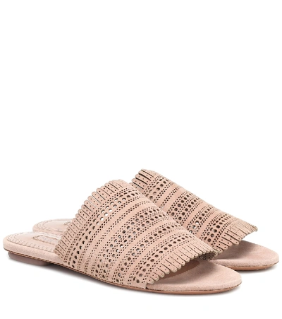 Alaïa Flat Laser Cut Suede Mules In Chair