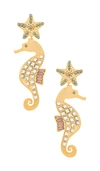 MERCEDES SALAZAR ISLA SEAHORSE EARRING,MRCZ-WL96