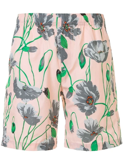 Msgm Floral-print Bermuda Shorts In Pink