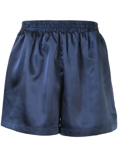 Walter Van Beirendonck Logo Embroidered Track Shorts In Blue