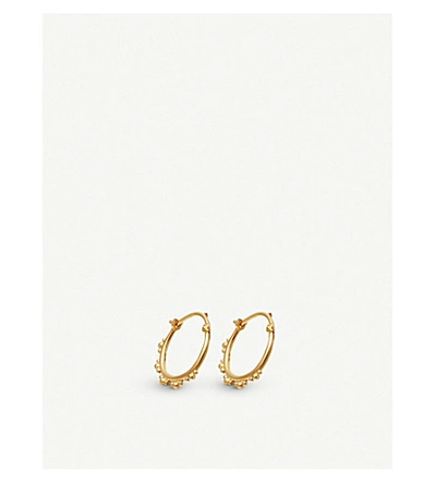 Astley Clarke Floris 18ct Yellow-gold Vermeil Hoop Earrings