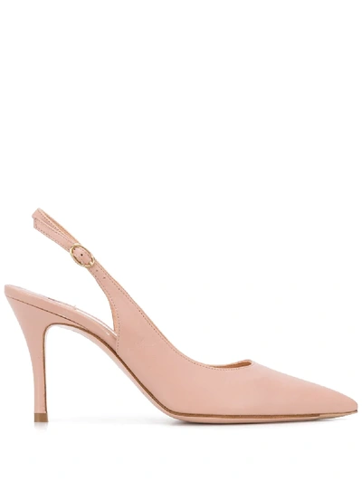Roberto Festa Mentha Pumps In Pink