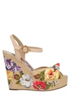 DOLCE & GABBANA SHOES,11378004