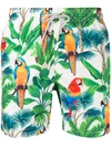 MC2 SAINT BARTH PARROT PRINT SWIM SHORTS