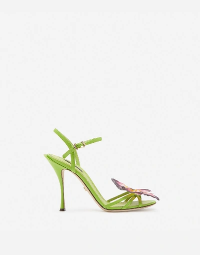 Dolce & Gabbana Keira 90 Nappa Leather Butterfly Applique Sandals In Green