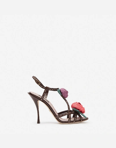 Dolce & Gabbana Sandals In Polished Cowhide With Rose Appliqué In Brown