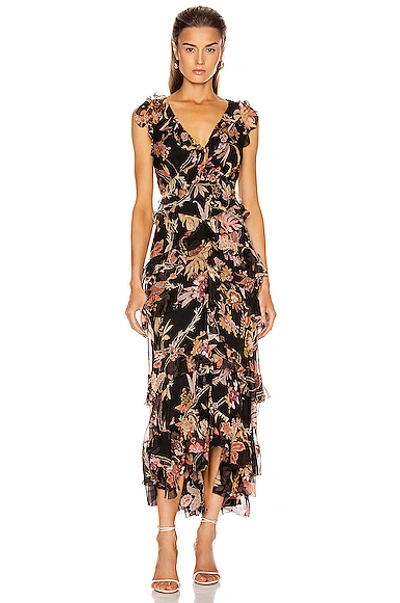 Zimmermann Wavelength Frilled Floral Silk Maxi Dress In Black Phoenix