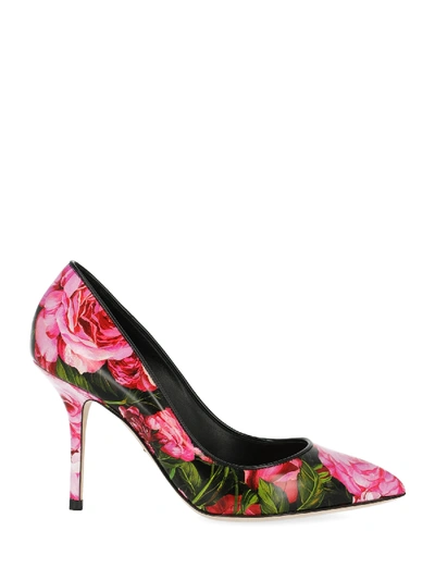 Dolce & Gabbana Shoe In Black, Pink