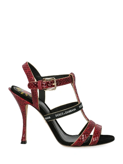 Dolce & Gabbana Shoe In Red