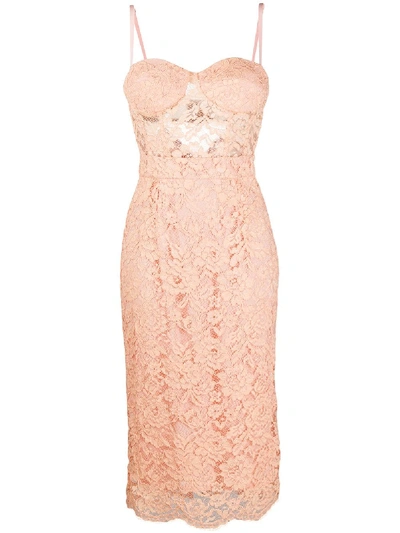 Elisabetta Franchi Lace Sleeveless Midi Dress In Pink
