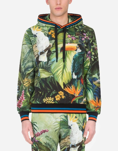 Dolce & Gabbana Jersey Hoodie With Jungle Print In Multicolored