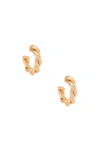 AMBER SCEATS TWIST HOOP EARRING,AMBE-WL180