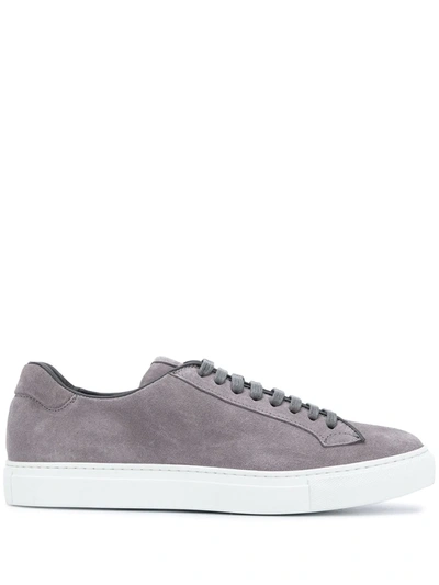 Scarosso Ugo Low-top Sneakers In Grey Suede