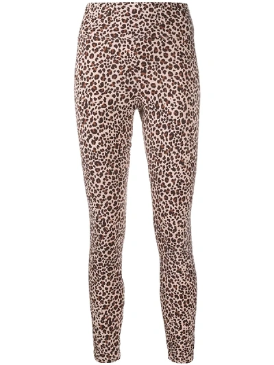 Nike Leopard Print Leggings In Pink