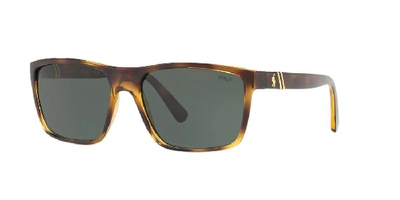 Polo Ralph Lauren Man Sunglasses Ph4133