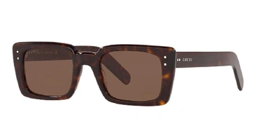 Gucci Man  Gg0539s In Brown