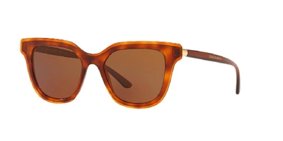 Dolce & Gabbana Dolce And Gabbana Woman  Dg4362 In Brown