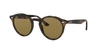 Ray Ban Ray In Dark Brown Classic B-15