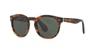 Polo Ralph Lauren Ralph Lauren Rl 8146p Unisex Sunglasses – Havana Acetate Frame With Green Crystal Lenses In Green