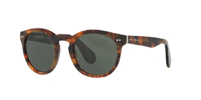 POLO RALPH LAUREN RALPH LAUREN WOMAN SUNGLASS RL8146P,8053672609660