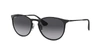 Ray Ban Ray In Grey-black
