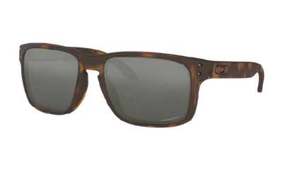 Oakley Holbrook™ Sunglasses In Brown