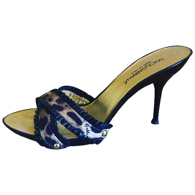 Pre-owned Dolce & Gabbana Cloth Mules In Blue