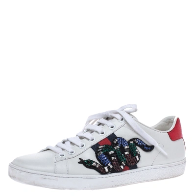 Pre-owned Gucci White Leather Crystal Embellished Snake Python Trim Web Detail Ace Low Top Sneakers Size 37.5