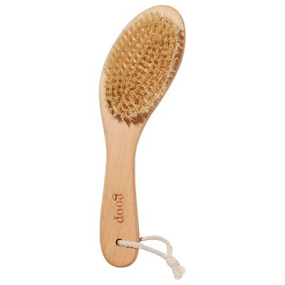 Goop G.tox Ultimate Dry Brush - One Size In Colourless
