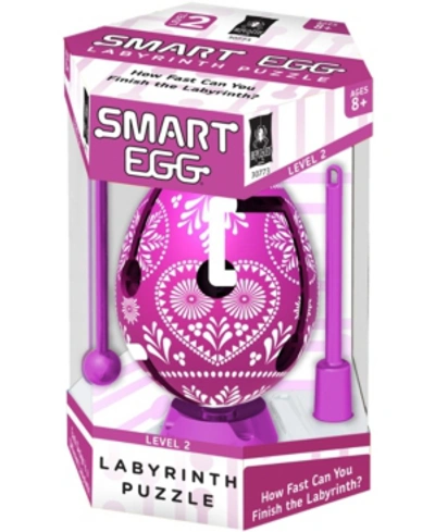 Areyougame Smart Egg Labyrinth Puzzle - Color Collection- Purple In No Color