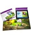 STAGES LEARNING MATERIALS LINF4FUN PETS INTERACTIVE BOARD BOOK WITH FREE IPAD APP