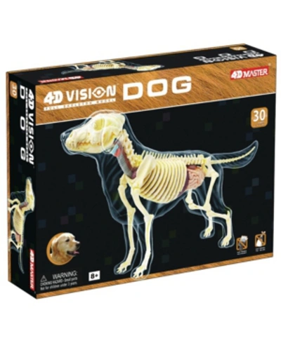 4d Master 4d Vision Full Skeleton Dog Model In No Color