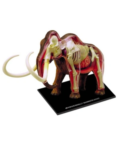 4d Master 4d Vision Wooly Mammoth Anatomy Model In No Color