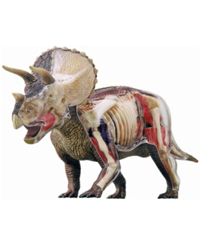 4d Master 4d Vision Triceratops Anatomy Model In No Color