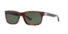 Persol 55mm Havana Rectangular Sunglasses In Green