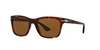 Persol Men's Polarized Sunglasses, Po3288s 55 In Polarized Brown